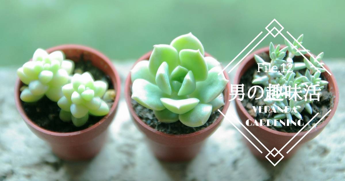 ベランダガーデニングで緑ある生活を！狭いマンションでも始められるコツ【男の趣味活】