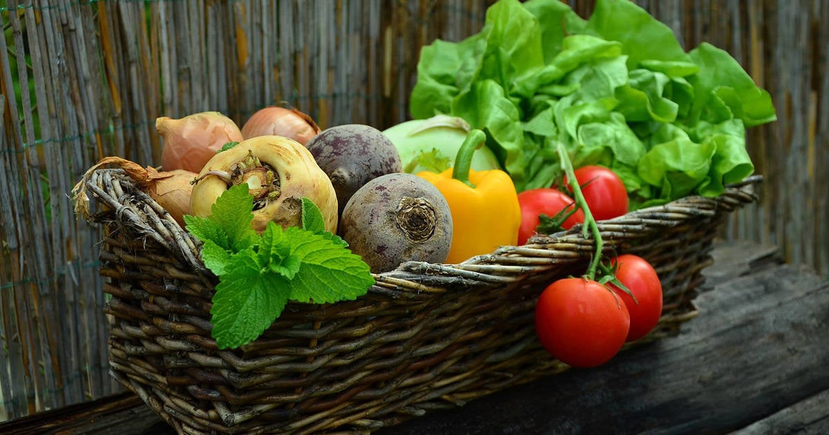 食品宅配サービスを利用しているのはどんな人？利用者の声から分かるメリットとは