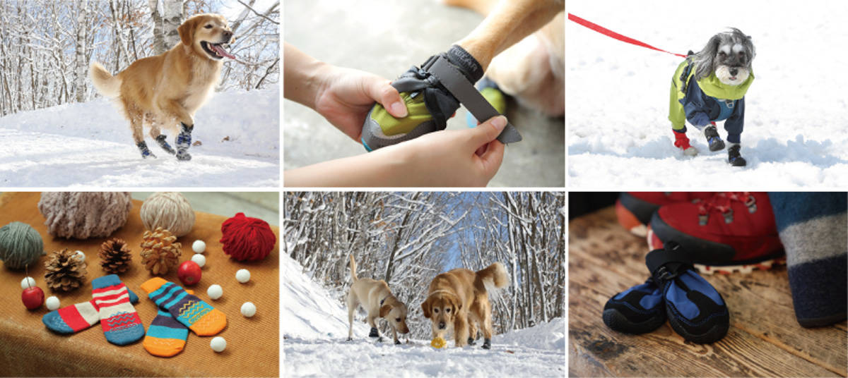 犬専用の靴・靴下で愛犬の肉球と健康を守ろう！真冬の寒さから守るだけじゃない大切なアイテム