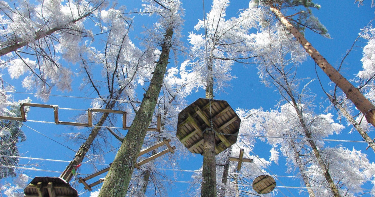 真冬だってアウトドアレジャーは楽しい！「フォレストアドベンチャー・恵庭」が冬季期間限定の新業態でオープン