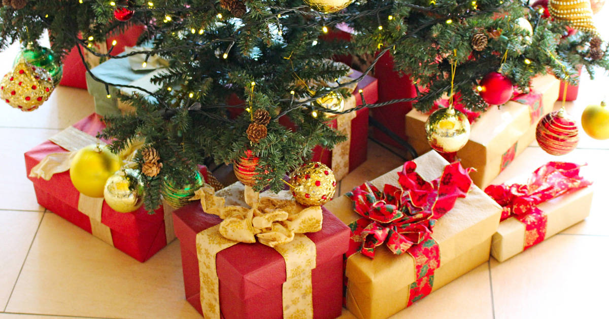 クリスマス大作戦～子どもはいつまでサンタを信じてる？　クリスマスイブにはサンタを追跡して山積みのプレゼントを