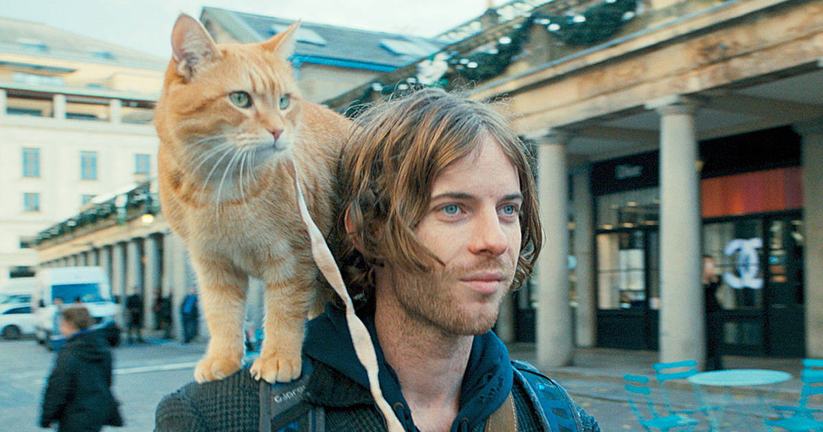 『ボブという名の猫 幸せのハイタッチ』 | “そこにいる”だけで大切な人を支えられる