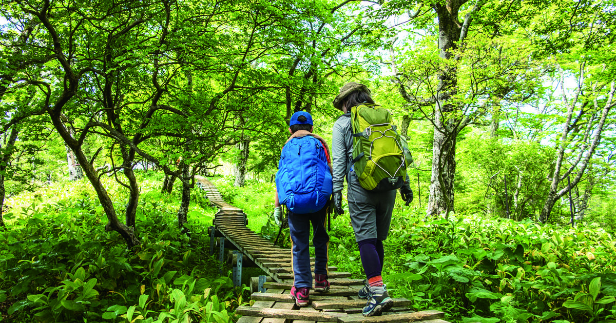小学生の子どもも気軽に参加できる！親子の絆を育む“外遊び教育”にもなるキャラバンツアー登山教室&親子deハイキング