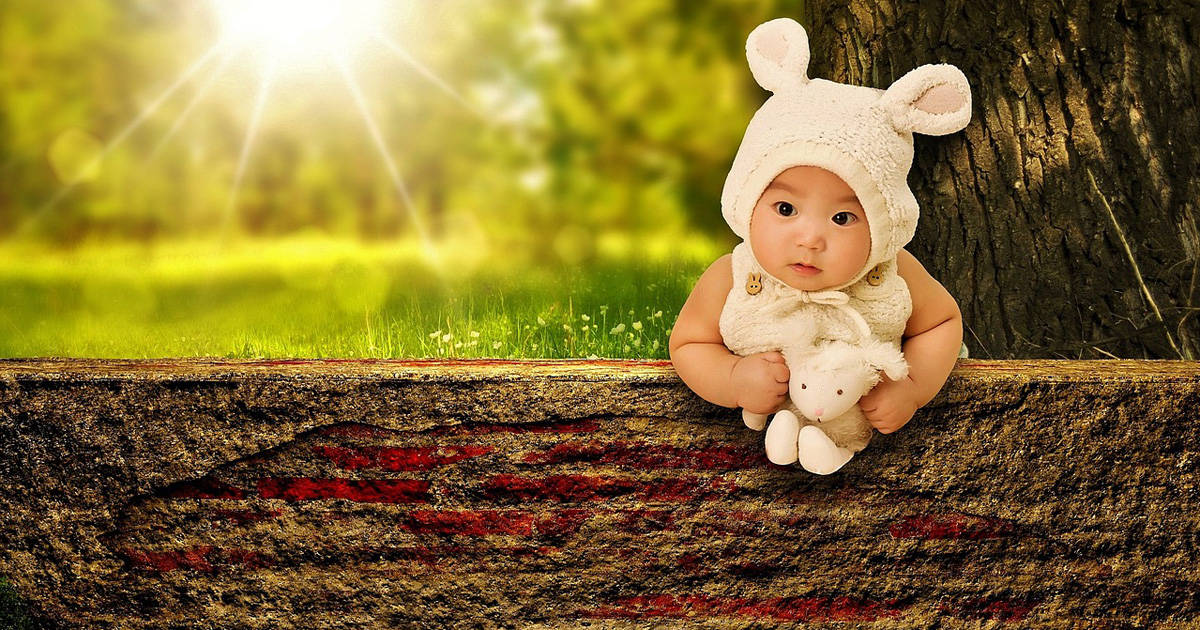 【洗濯ハカセが教える】これからも子どもの“友達”でいるために…ぬいぐるみを洗おう