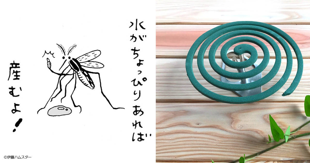夏が来る前から蚊対策を万全に！プロが伝授する虫ケアのコツ＆オススメの虫ケア商品とは