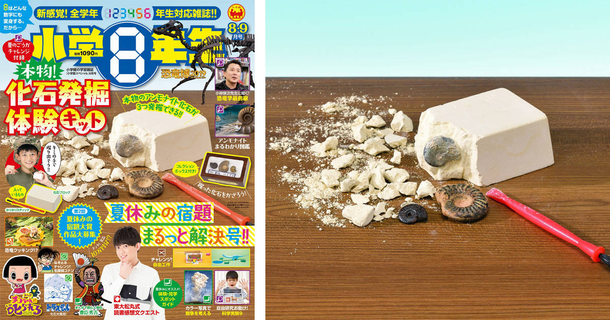 本物のアンモナイトの化石を発掘できるキットが付録に！子どもの好奇心をくすぐる『小学8年生』8・9月号