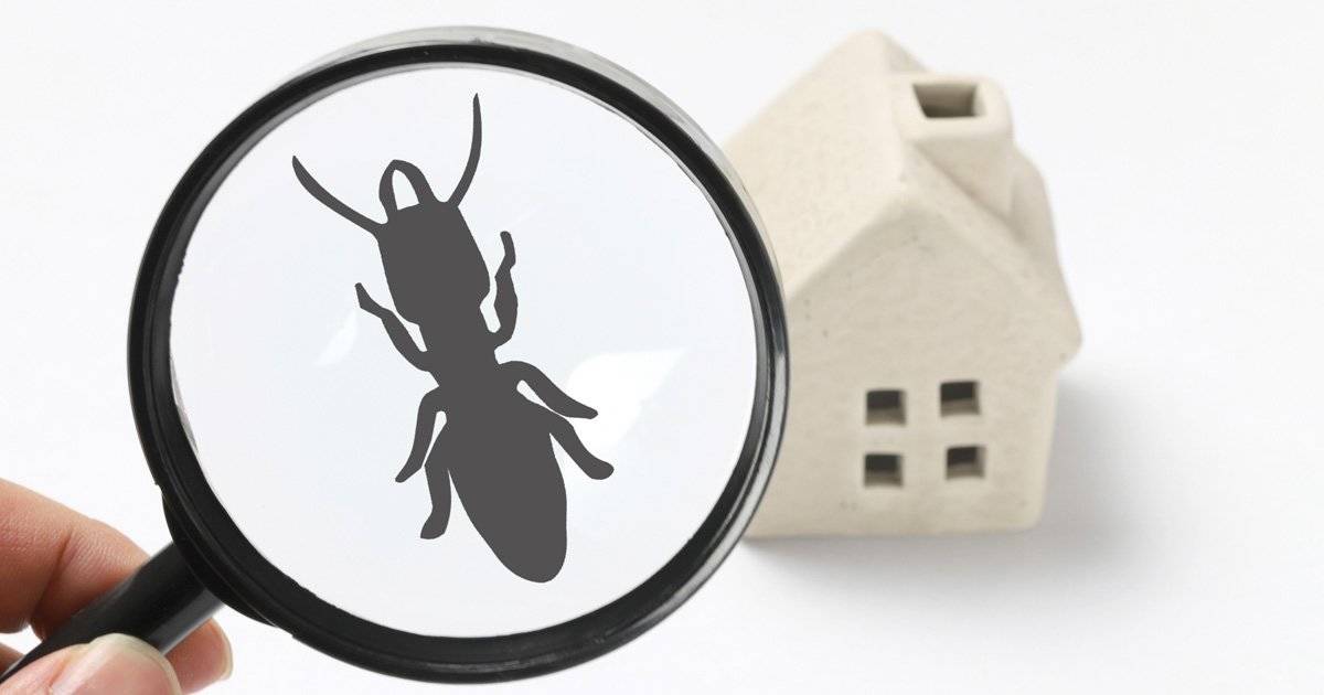 【防虫対策】もう夏の害虫に悩まされない！害虫別の駆除対策＆オススメ退治アイテム