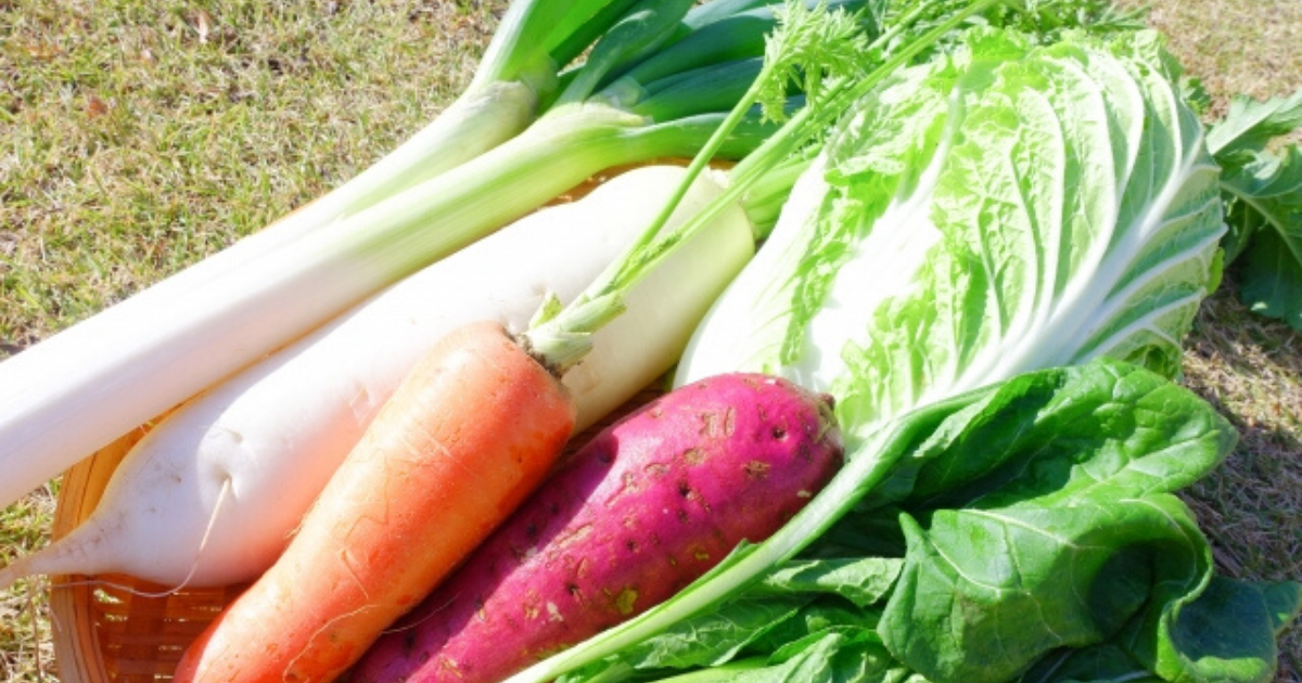 白菜の黒い点はカビじゃない！農家直伝の“野菜の新常識”が話題