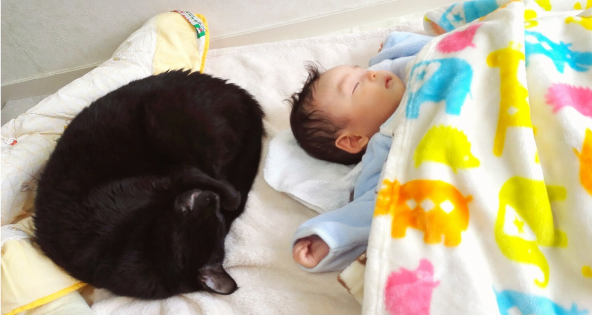 【専門家が解説】赤ちゃんの寝床は「ベッド」と「布団」どちらがいいの？