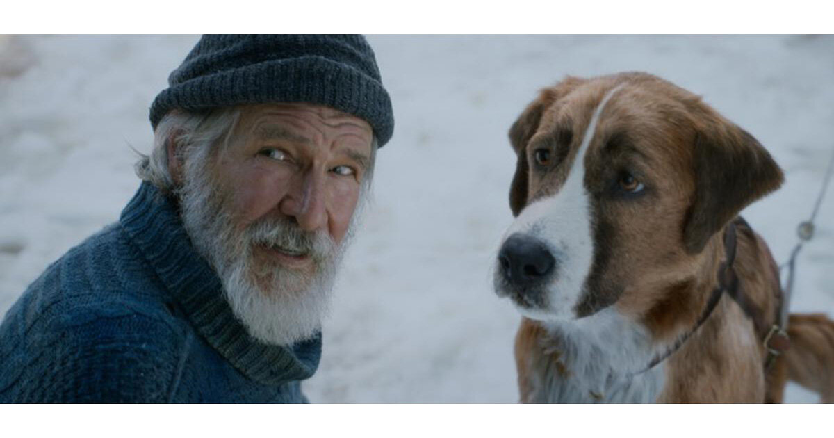 『野性の呼び声』│名犬と冒険家が地図にない荒野を突き進む、勇気と感動の物語