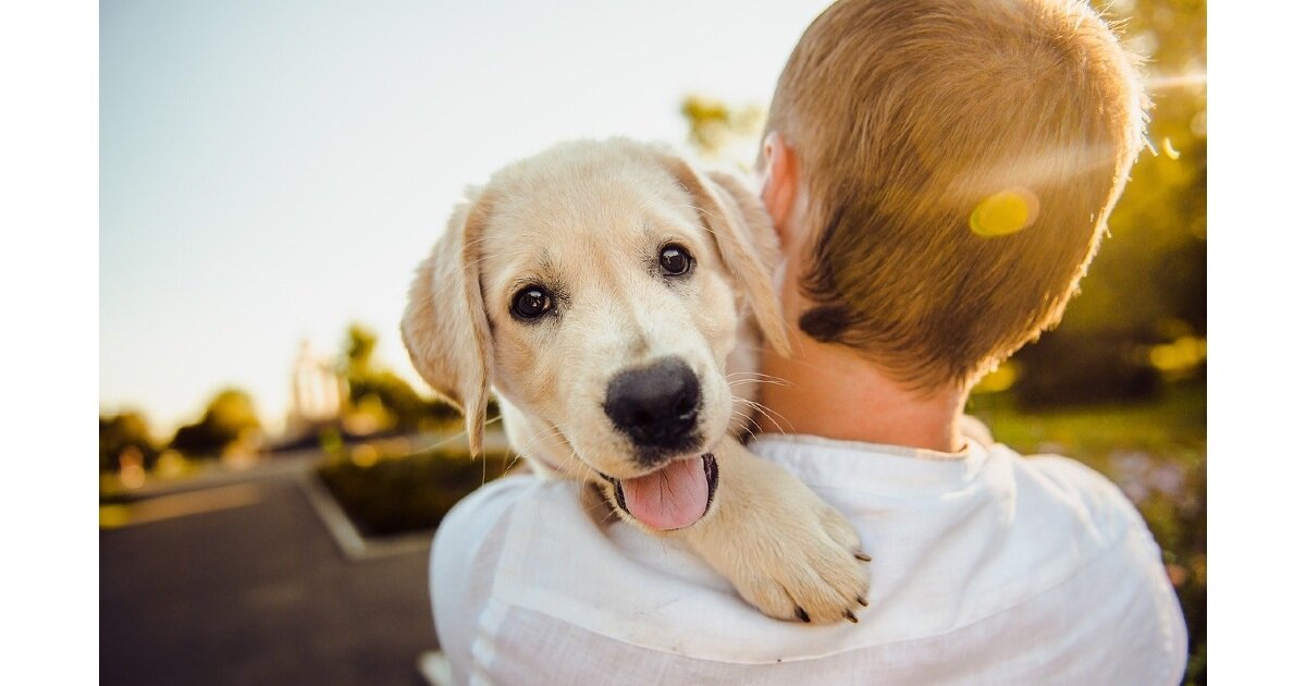 【育児とペット】ペットが子どもにもたらす良い影響は？パパママが注意する飼育のポイント