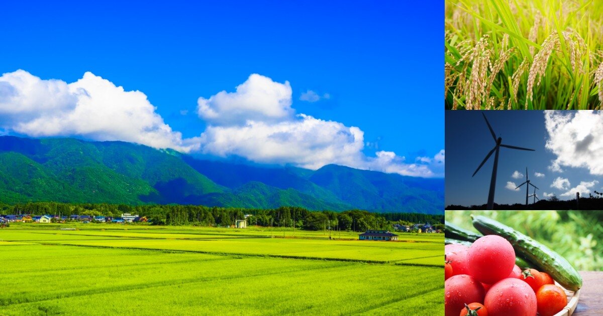 今年から始める「ふるさと納税」入門　自治体への寄付でSDGsにも貢献！