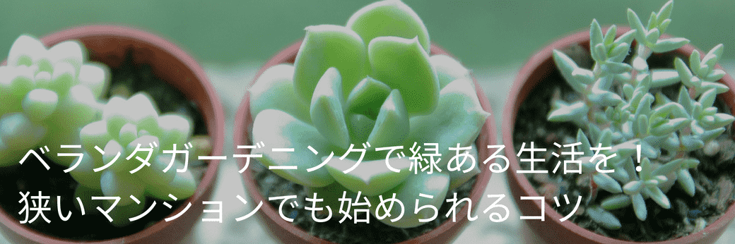 家men，ベランダ，ベランダガーデニング，ガーデニング