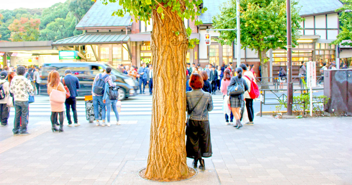 家men,もう一度夫婦で恋しよう,夫婦の時間,待ち合わせ