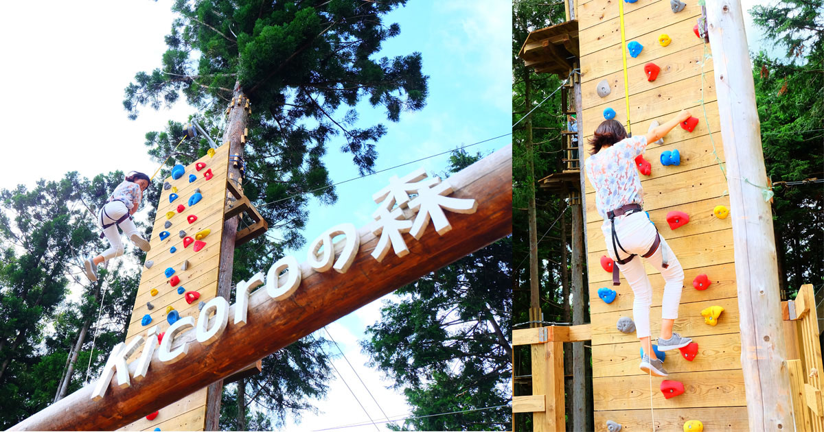 家men,趣味活,フィールドアスレチック,フォレストアドベンチャー