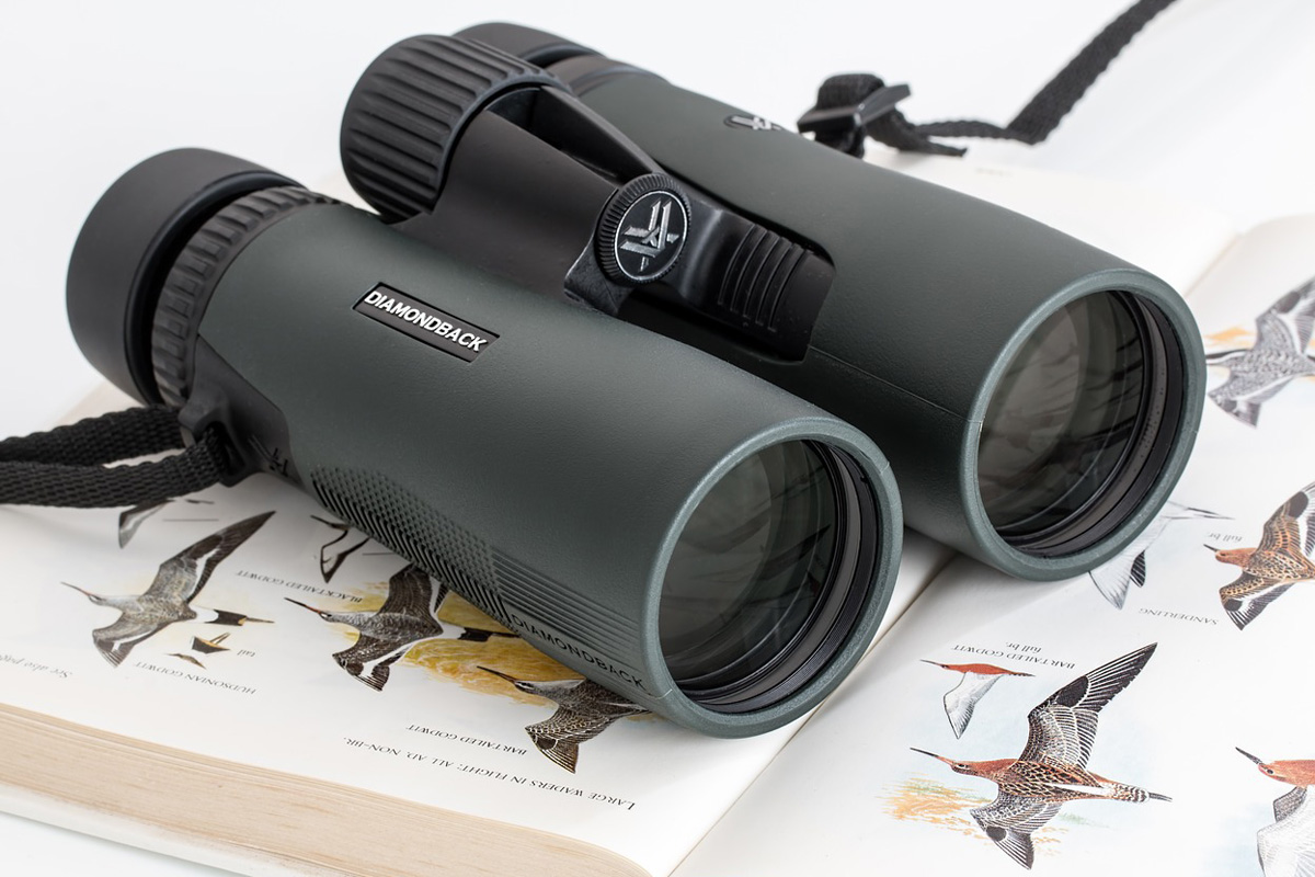 家men,趣味活,バードウォッチング