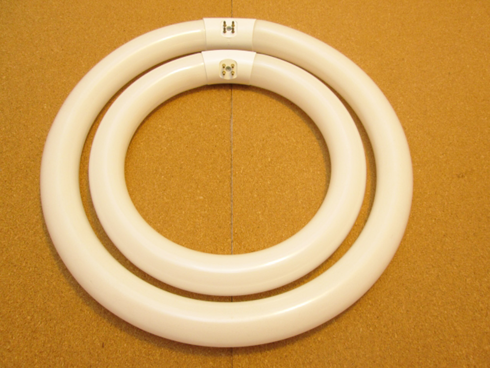 収納マン,大掃除,家men