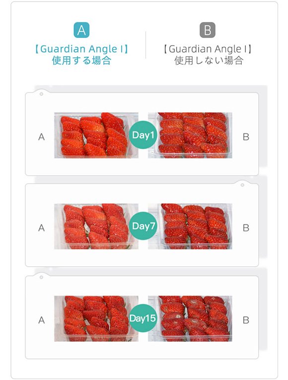 家men, Guardian Angle Ⅰ,冷蔵庫, 効果比較,鮮度