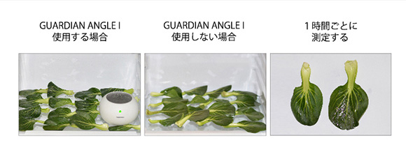 家men, Guardian Angle Ⅰ,冷蔵庫, 比較,農薬除去